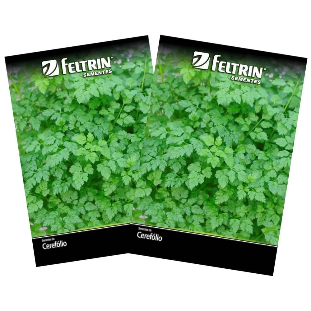 2X Sementes de Cerefólio Samir FELTRIN
