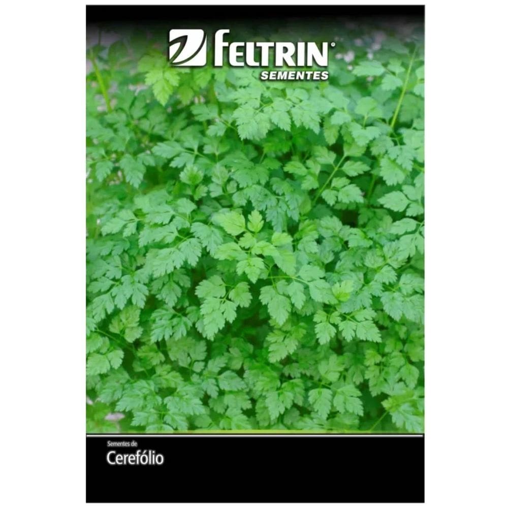 Sementes de Cerefólio Samir FELTRIN
