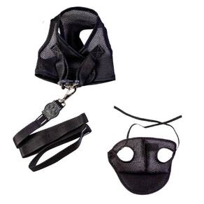 Kit boné e coleira para cães - colete e boné aerado preto m