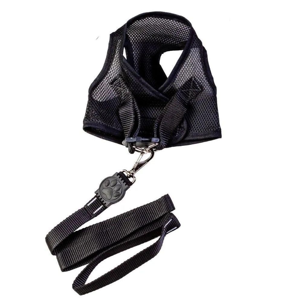 Colete peitoral aerado com guia preto pp