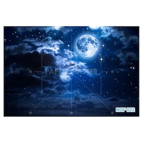 Papel De Teto Céu Noite Céu Lua Cheia Nuvens 3,5M Rof22