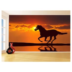 Papel De Parede Animais Cavalo Correndo Campo 3,5M Anm352