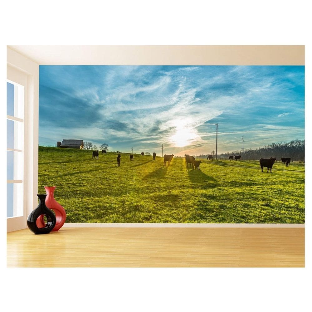 Papel De Parede 3D Por Do Sol Campo Fazenda Céu 3,5M Pds49