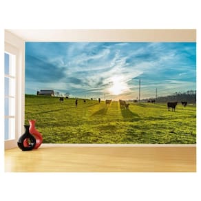 Papel De Parede 3D Por Do Sol Campo Fazenda Céu 3,5M Pds49