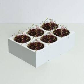 Kit horta inteligente jardim gourmet cinza claro