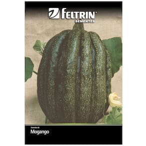 Sementes de Abóbora Mogango Sul Mineiro FELTRIN