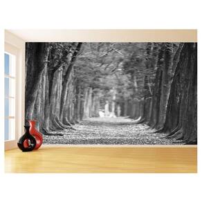 Papel De Parede 3D Estrada Caminho Paisagem 3,5M Nes129