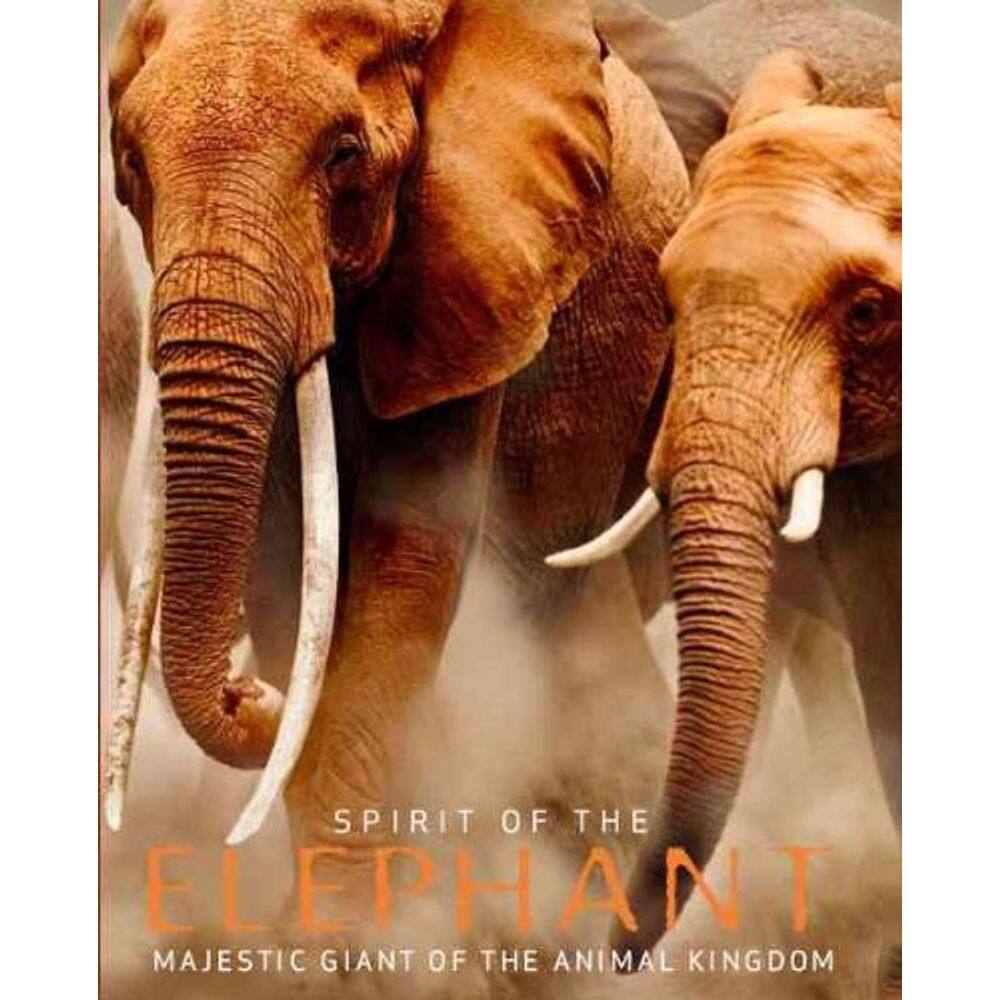 Spirit Of The Elephant Majestic Giant Of The Animal Kingdom