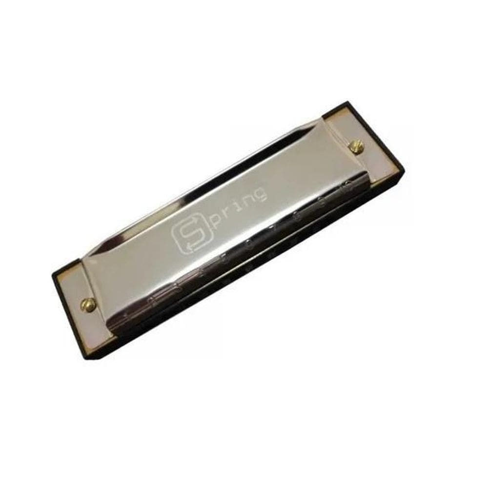 Gaita Harmônica Blues Spring Diatônica G  Sol