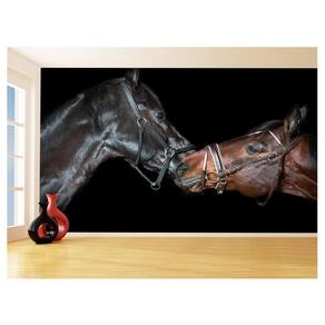 Papel De Parede Animais Casal Cavalos Fazenda 3,5M Anm311