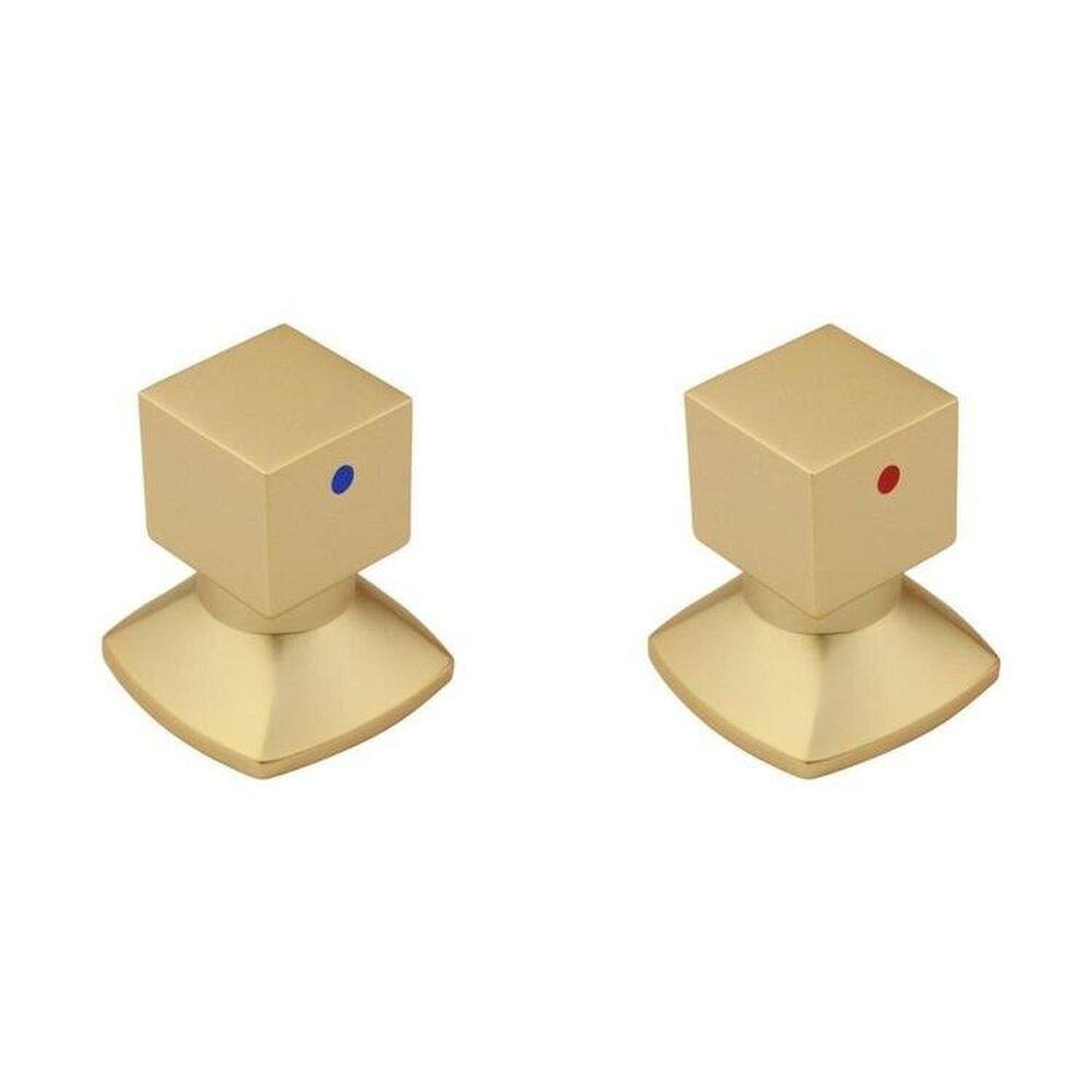 Kit com 2 Acabamentos para Registro C46 Água Quente/Fria Ducon Metais Gold