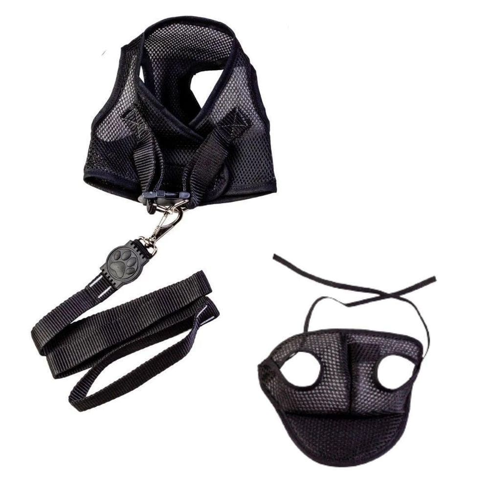 Kit boné e coleira peitoral com guia preto g