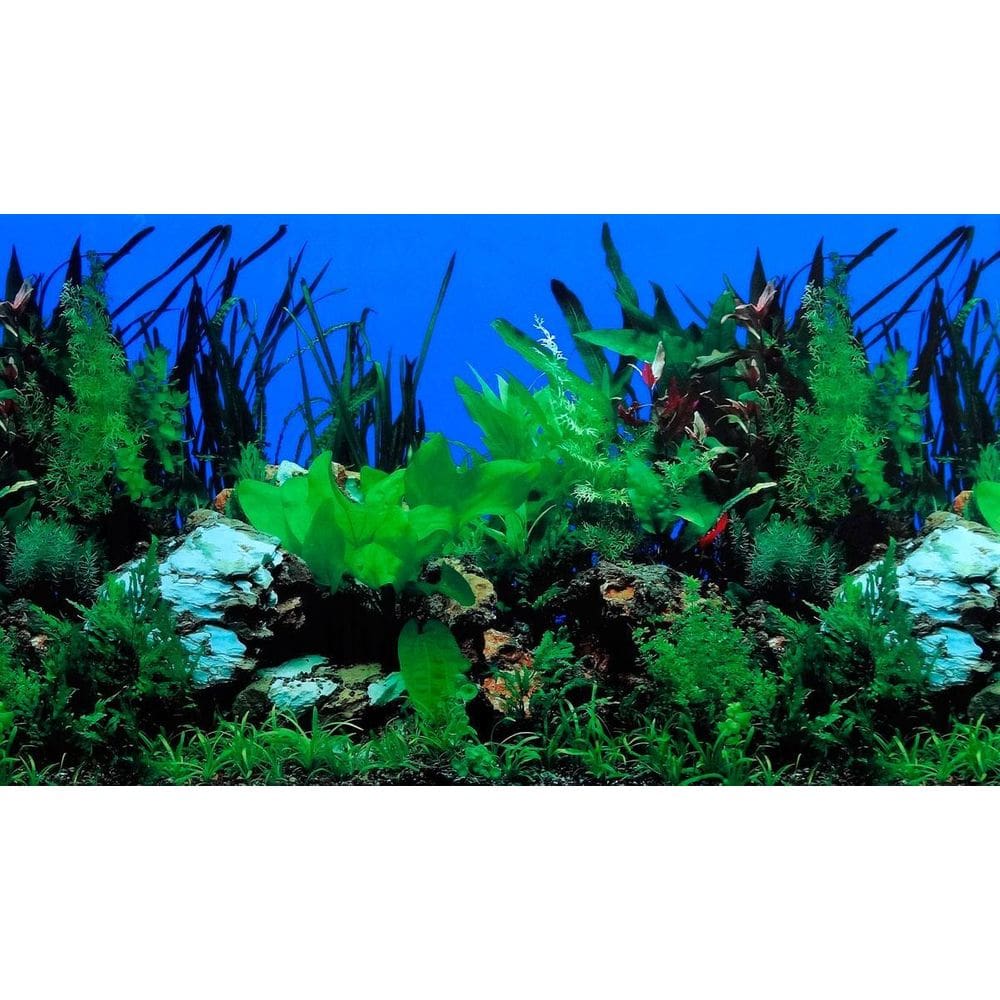 Painel Para Aquário Fundo Azul E Plantas 30Cm X 100Cm Pp-081