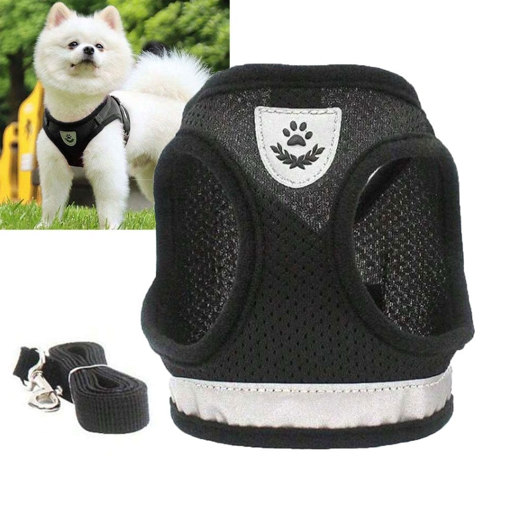 Peitorial Guia Cao Gato Cachorro Pet Colete Faixa Refletiva Coleira Animal de Estimaçao Segurança