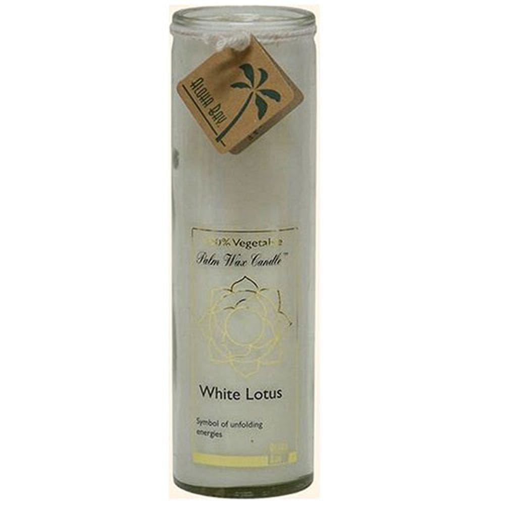 Pote de Chakra de Vela Branco Não Perfumado,17 OZ por Aloha Bay