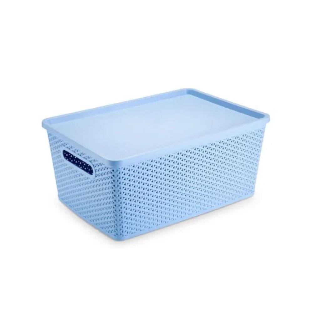 Cesto Org Rattan 16L Gd Azul Com Tampa
