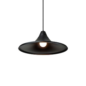 Lustre Pendente Blumenau Téo E27 Bivolt