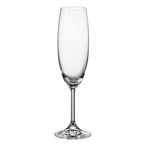 JG 6PÇ TAÇAS CHAMPANHE BOHEMIA BRUNA CRISTAL 220ml 23x6x6cm TRANSPARENTE