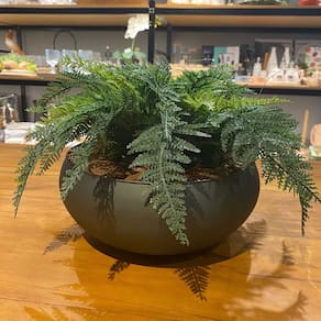 Arranjo Completo de Samambaia Centro de Mesa Grande Vaso Verde