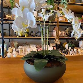 Arranjo Grande Centro de Mesa 3 Orquídeas Branca 3d Vaso Verde