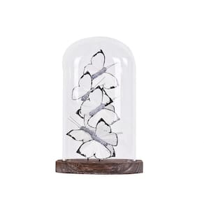Escultura Decorativa Borboletas Brancas na Cúpula de Vidro 21cm AD2013 BTC