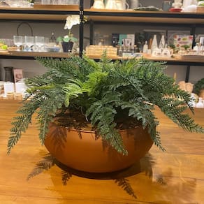 Arranjo Completo de Samambaia Centro de Mesa Grande Vaso Cobre