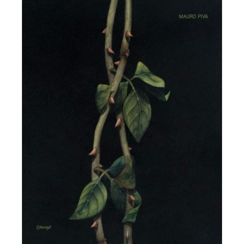 Mauro Marcos; Piva