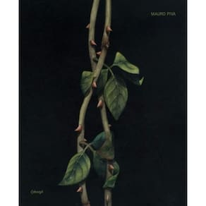 Mauro Marcos; Piva