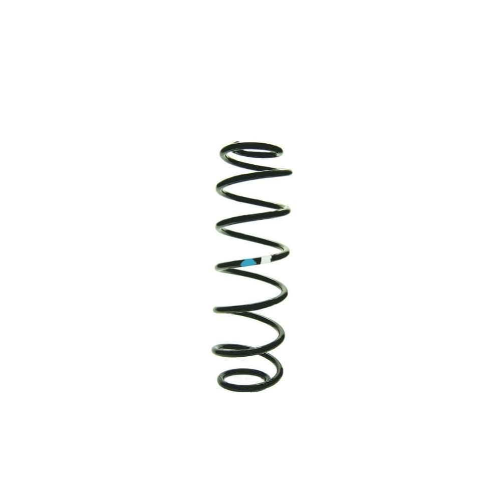 Mola Helicoidal Fiesta Authomix - MH22041