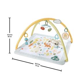 Fisher-Price Ginásio Primeiros Sentidos - Mattel