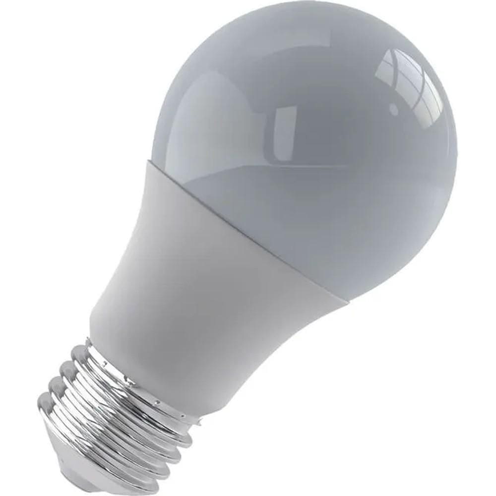 Lâmpada Bulbo Led 7w 6500k E27 Bivolt Luminatti