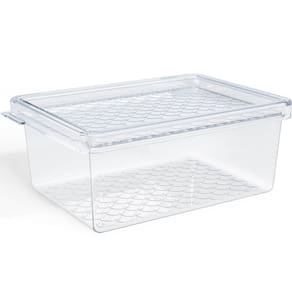 Organizador de Geladeira com Tampa 660ml Cozinha Multiuso Fr