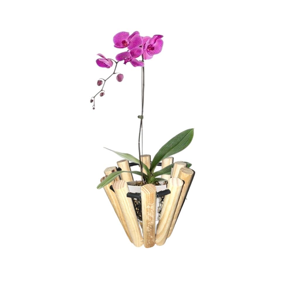 Kit 16 Cachepô Orquídeas Cesto Madeira Jardineira Flores