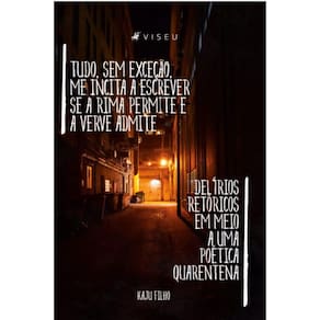 Tudo, sem exce??o, me incita a escrever se a rima permite e a verve admite:  Del?rios ret?ricos em meio a uma po?tica quarentena