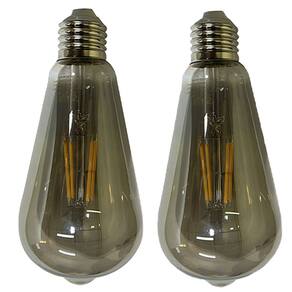 Lampada Led 30w Multi Filamento Vintage Fume Kit 2 Uni Iluminaçao Casa Quarto Sala Decoraçao Segurança