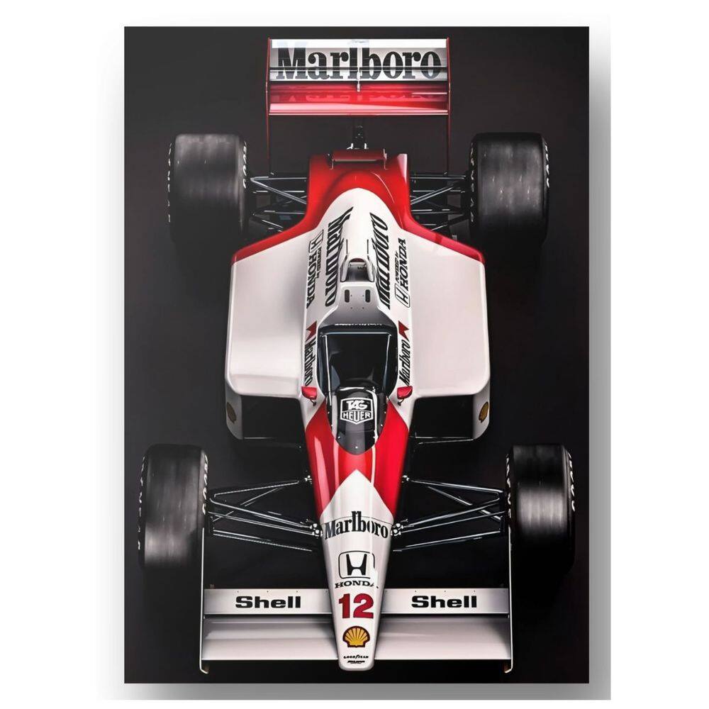 Quadro Placa Decorativo em Aluminio 20x28 cm Carro Senna