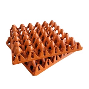 Kit 5 Porta Ovo Cartela Plástica P/30 ovos Bandeja Higiênica