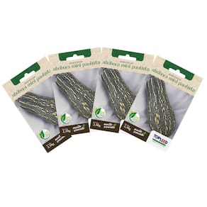 4X Sementes de Abóbora Paulista (Mini) TOPSEED