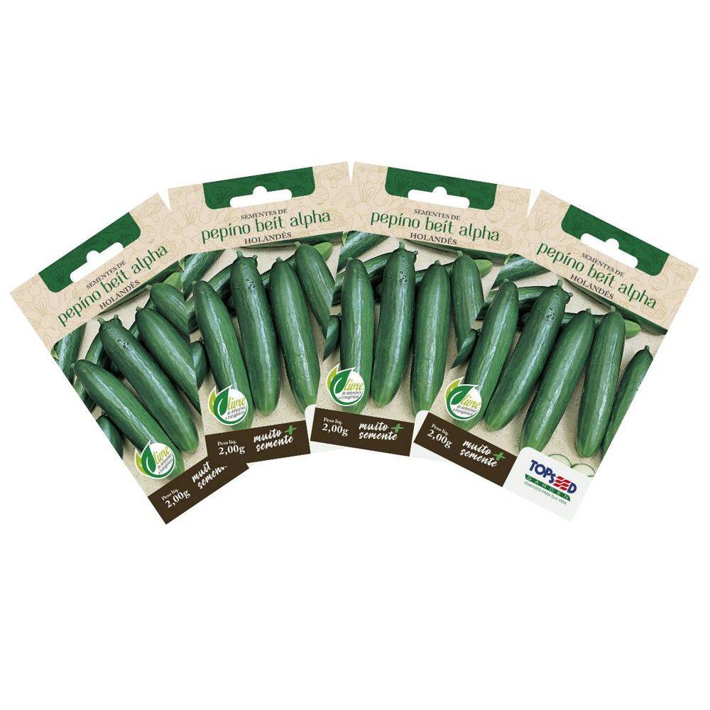 4X Sementes de Pepino Beit Alpha (Holandês) TOPSEED