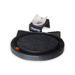 Kit Comedouro Elevado Preto + Brinquedo Interativo com Bolinha para Pet