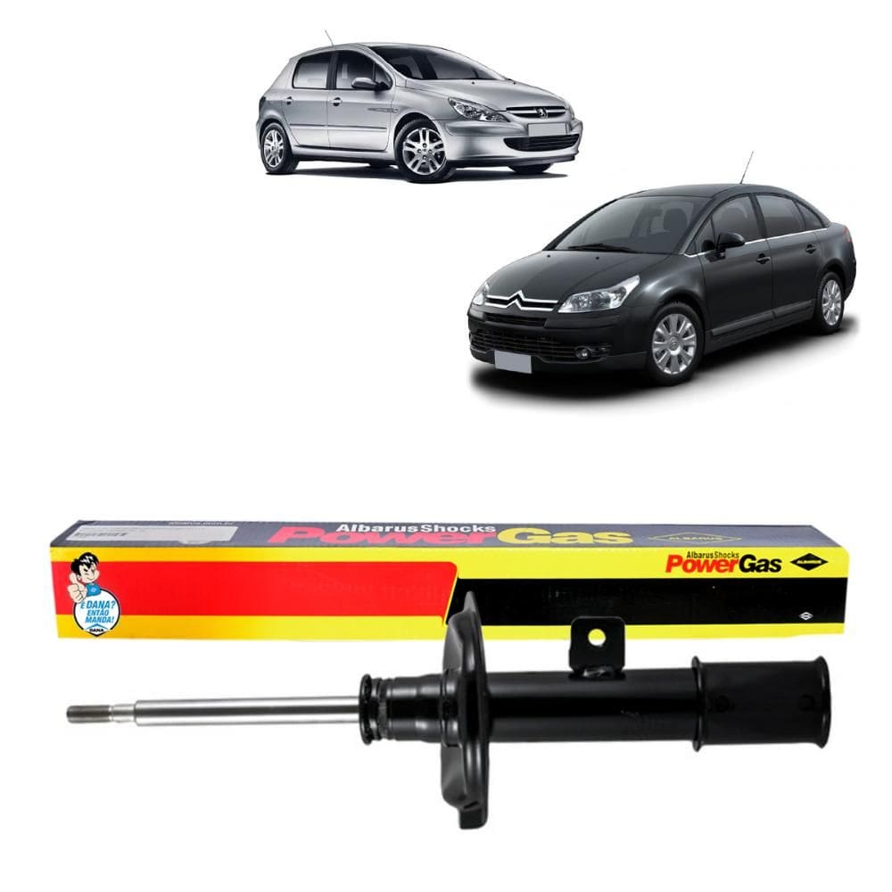 Amortecedor Gás Dianteiro Lado Direito C4 Pallas Peugeot 307