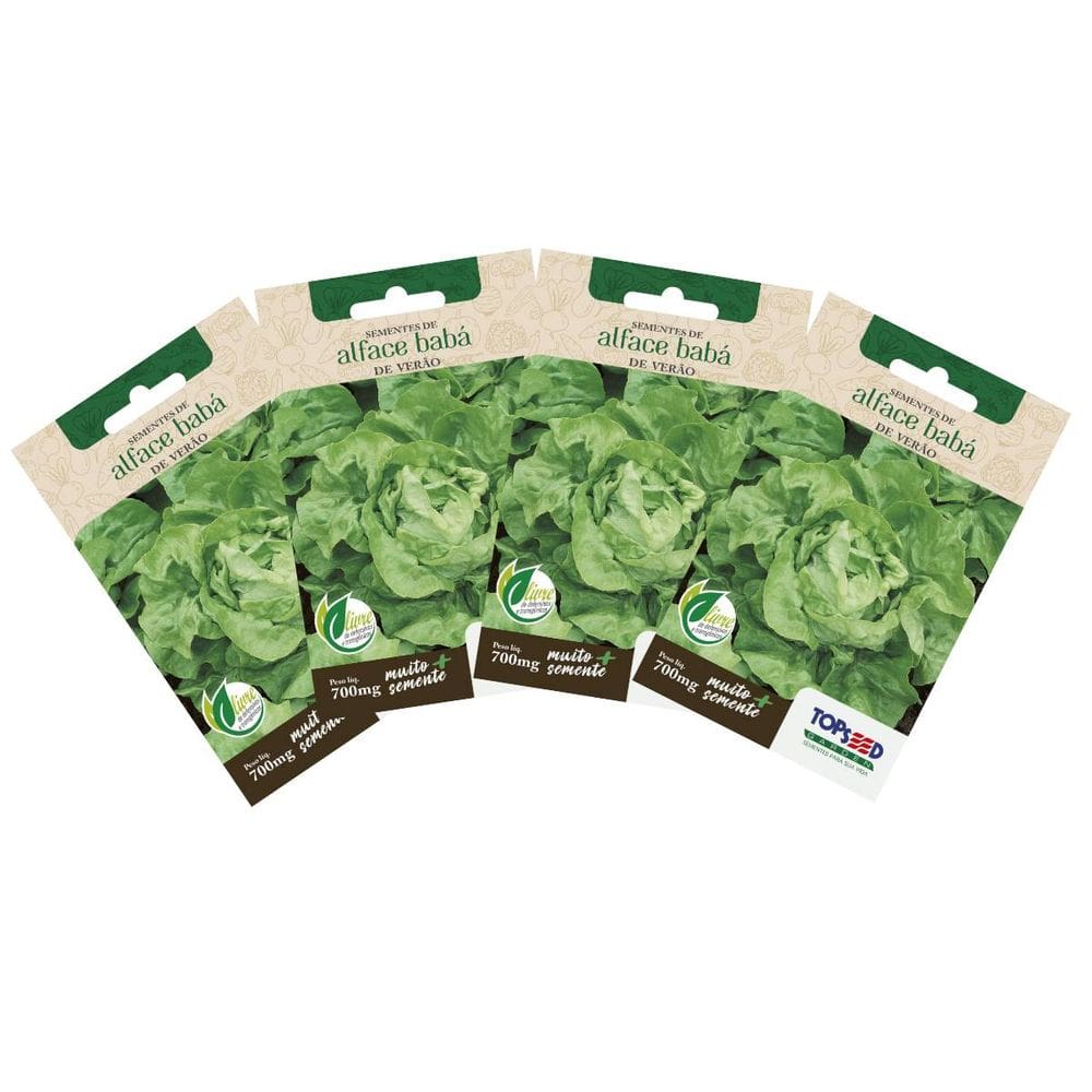 4X Sementes de Alface Babá de Verão (Manteiga) TOPSEED