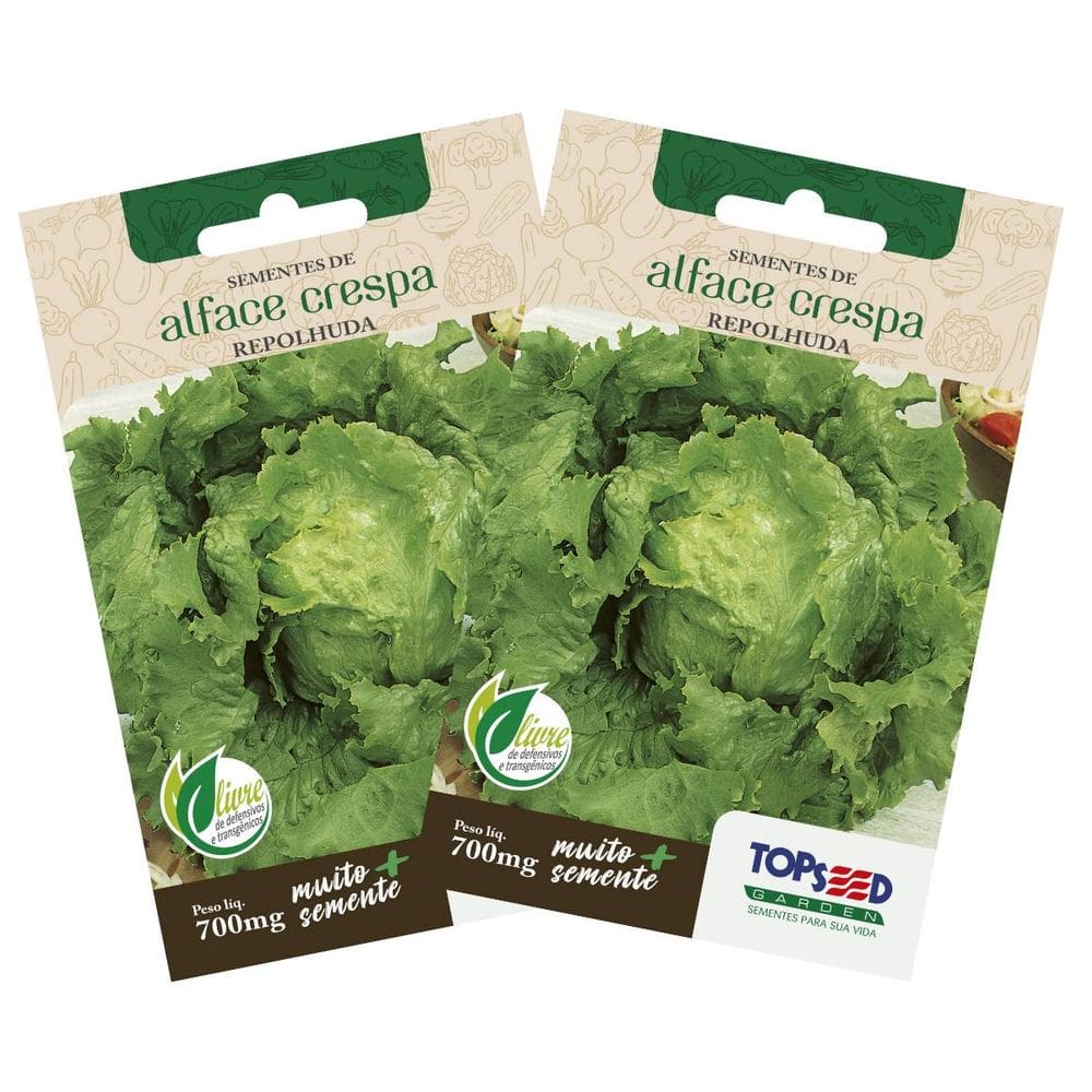 2X Sementes de Alface Crespa Repolhuda TOPSEED