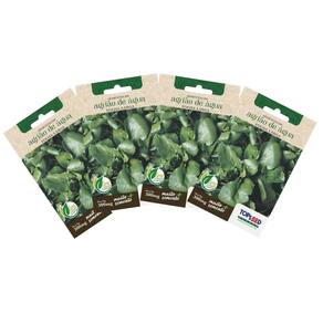 4X Sementes de Agrião de Água (Folha Larga) TOPSEED