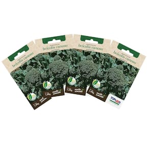 4X Sementes de Brócolis Ramoso Santana TOPSEED