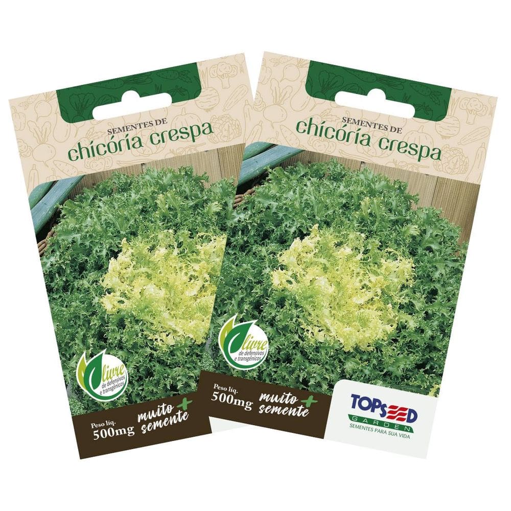2X Sementes de Chicória Crespa TOPSEED