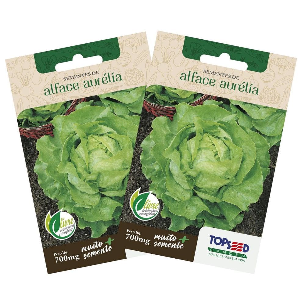 2X Sementes de Alface Aurélia (Manteiga) TOPSEED