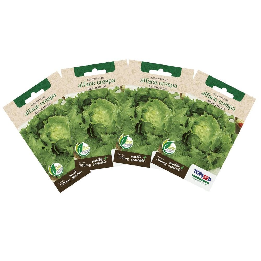 4X Sementes de Alface Crespa Repolhuda TOPSEED