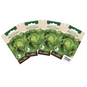 4X Sementes de Alface Crespa Repolhuda TOPSEED