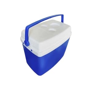 Caixa Térmica Cooler 34 Litros Praia Camping BotaFogo